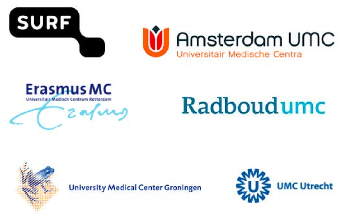 Logo for Text mining in Dutch medical text
